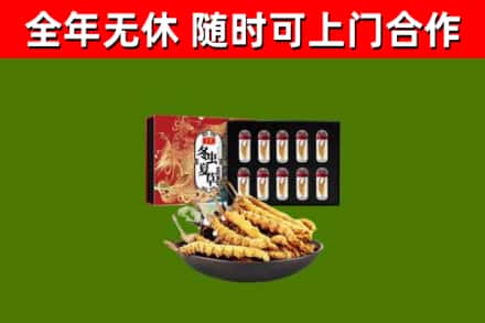 掇刀区回收冬虫夏草价格